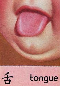 Tongue